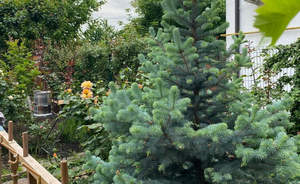 Дом 147м&sup2;, 2-этажный, участок 6 сот.  