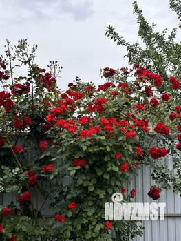 Дом 100м², 1-этажный, участок 4 сот.  