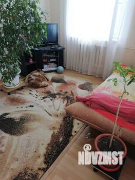 Дом 241м&sup2;, 2-этажный, участок 8 сот.  