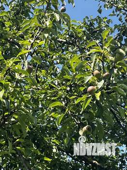 Дом 21м&sup2;, 2-этажный, участок 4 сот.  