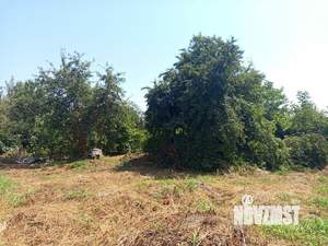 Дом 113м&sup2;, 1-этажный, участок 6 сот.  