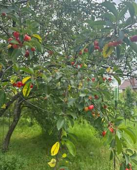 Дом 120м², 2-этажный, участок 19 сот.  