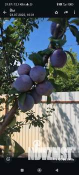 Дом 80м&sup2;, 2-этажный, участок 8 сот.  