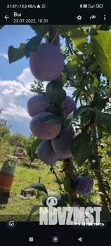 Дом 80м&sup2;, 2-этажный, участок 8 сот.  