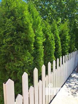 Дом 173м², 2-этажный, участок 12 сот.  