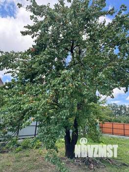 Дом 40м&sup2;, 1-этажный, участок 6 сот.  