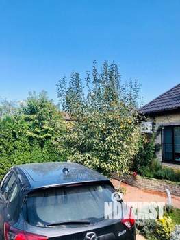 Дом 45м&sup2;, 1-этажный, участок 3 сот.  