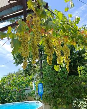 Дом 115м&sup2;, 2-этажный, участок 3 сот.  