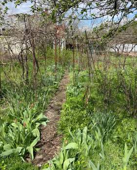 Дом 31м&sup2;, 1-этажный, участок 6 сот.  