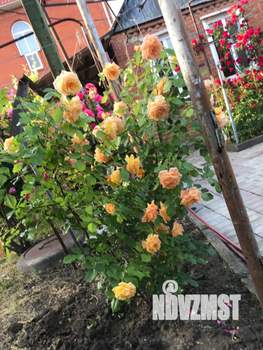 Дом 65м&sup2;, 1-этажный, участок 4 сот.  