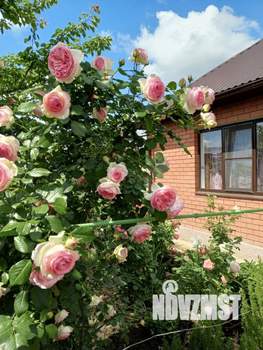 Дом 64м², 1-этажный, участок 5 сот.  