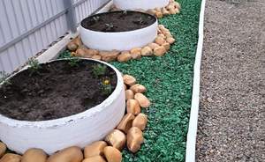 Дом 119м&sup2;, 1-этажный, участок 4 сот.  