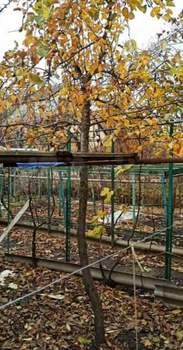 Дом 60м&sup2;, 2-этажный, участок 4 сот.  