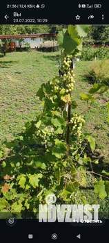 Дом 80м&sup2;, 2-этажный, участок 8 сот.  