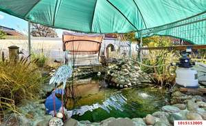 Дом 155м², 1-этажный, участок 9 сот.  