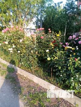 Дом 60м&sup2;, 2-этажный, участок 4 сот.  