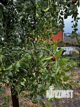 Дом 65м&sup2;, 2-этажный, участок 7 сот.  