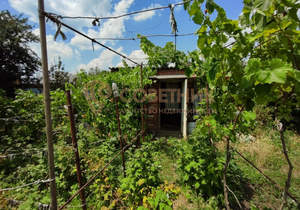 Дом 25м², 1-этажный, участок 6 сот.  