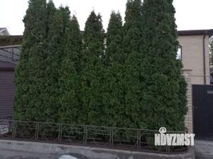 Таунхаус 105м&sup2;, 2-этажный, участок 2 сот.  