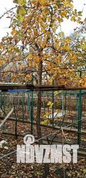 Дом 60м&sup2;, 2-этажный, участок 4 сот.  