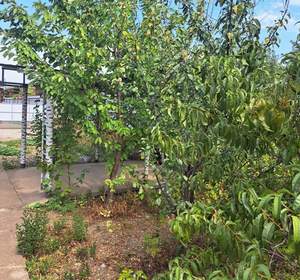 Дом 35м&sup2;, 1-этажный, участок 2 сот.  