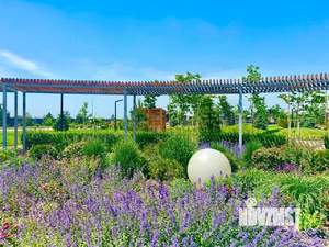 Дом 187м&sup2;, 2-этажный, участок 6 сот.  