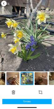 Дом 47м², 1-этажный, участок 9 сот.  