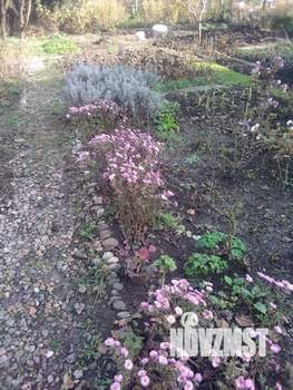 Дом 39м&sup2;, 2-этажный, участок 4 сот.  