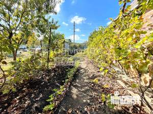 Дом 24м², 1-этажный, участок 6 сот.  