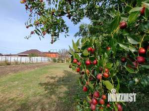 Дом 66м&sup2;, 1-этажный, участок 24 сот.  