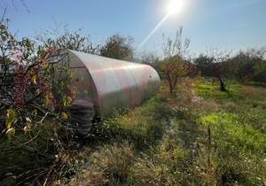 Дом 33м², 1-этажный, участок 8 сот.  