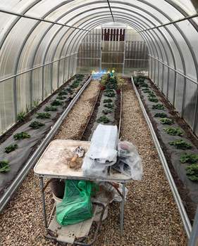 Дом 36м&sup2;, 2-этажный, участок 10 сот.  