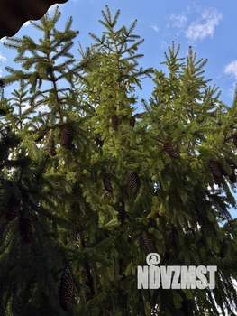 Дом 390м&sup2;, 2-этажный, участок 8 сот.  