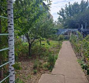 Дом 35м&sup2;, 1-этажный, участок 2 сот.  