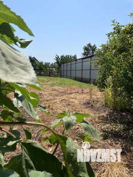 Дом 41м&sup2;, 1-этажный, участок 19 сот.  