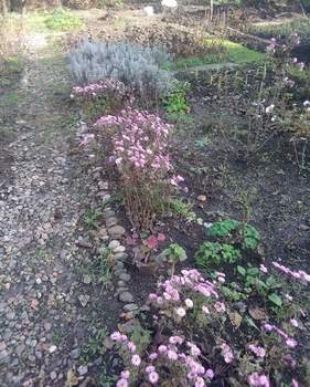 Дом 39м&sup2;, 2-этажный, участок 4 сот.  