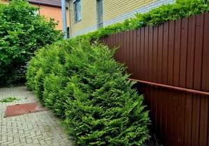 Дом 315м&sup2;, 2-этажный, участок 77 сот.  