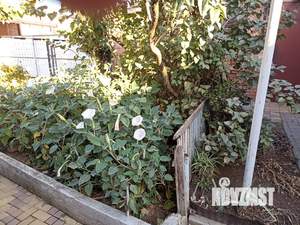 Дом 43м², 1-этажный, участок 1 сот.  