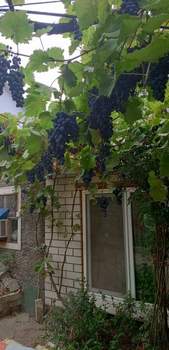 Дом 130м&sup2;, 1-этажный, участок 5 сот.  