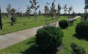 Дом 187м&sup2;, 2-этажный, участок 6 сот.  