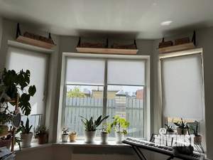 Дом 98м&sup2;, 1-этажный, участок 4 сот.  