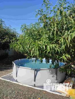 Дом 65м&sup2;, 1-этажный, участок 6 сот.  