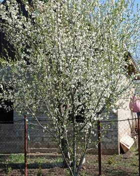 Дом 20м&sup2;, 1-этажный, участок 6 сот.  