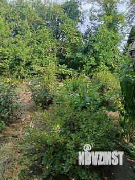 Дом 42м&sup2;, 1-этажный, участок 6 сот.  