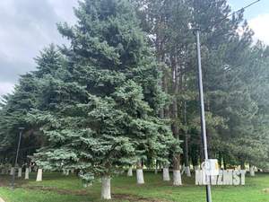 Дом 57м², 1-этажный, участок 5 сот.  