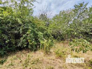 Дом 25м&sup2;, 1-этажный, участок 6 сот.  