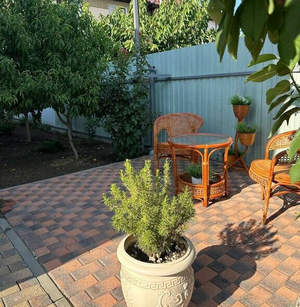 Дом 170м&sup2;, 1-этажный, участок 8 сот.  