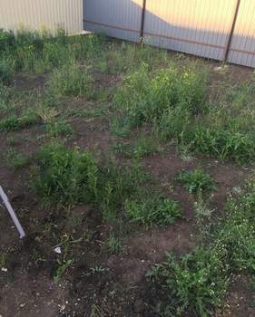 Дом 58м&sup2;, 1-этажный, участок 3 сот.  