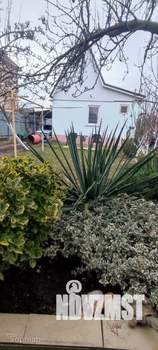 Дом 40м&sup2;, 1-этажный, участок 4 сот.  