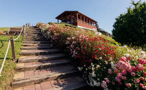 Дом 147м&sup2;, 2-этажный, участок 4 сот.  